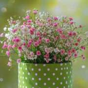 ヒメ日記 2025/04/11 11:10 投稿 りん プールサイド新橋店