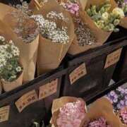 ヒメ日記 2025/04/13 11:08 投稿 りん プールサイド新橋店