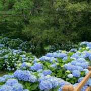 ヒメ日記 2025/04/19 11:03 投稿 りん プールサイド新橋店