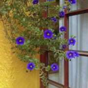 ヒメ日記 2025/04/26 20:15 投稿 りん プールサイド新橋店