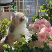 ヒメ日記 2026/03/01 10:16 投稿 りん プールサイド新橋店