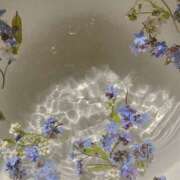 ヒメ日記 2026/03/10 12:00 投稿 りん プールサイド新橋店