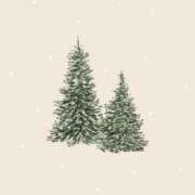 ヒメ日記 2026/03/10 21:05 投稿 りん プールサイド新橋店