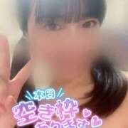 ヒメ日記 2025/04/30 20:21 投稿 ミユキ AMOUR（アムール）