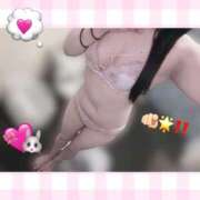 ヒメ日記 2026/02/15 10:55 投稿 みお♡極上SPコース♡ PANTHER（パンサー）