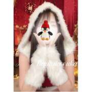 ヒメ日記 2024/12/23 22:49 投稿 ウカ ビギナーズ和歌山