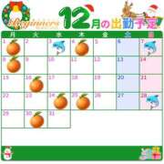 ヒメ日記 2025/11/22 14:04 投稿 ウカ ビギナーズ和歌山