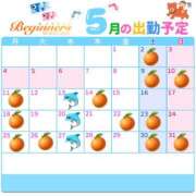 ヒメ日記 2026/04/19 18:11 投稿 ウカ ビギナーズ和歌山