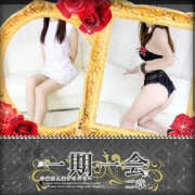 ヒメ日記 2025/04/17 08:30 投稿 ゆうな 宇都宮人妻デリバリー 一期一会 二章