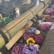 ヒメ日記 2025/05/17 12:26 投稿 ゆうな 宇都宮人妻デリバリー 一期一会 二章