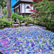 ヒメ日記 2025/06/01 22:43 投稿 ゆうな 宇都宮人妻デリバリー 一期一会 二章