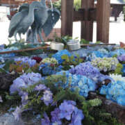 ヒメ日記 2025/07/01 01:10 投稿 ゆうな 宇都宮人妻デリバリー 一期一会 二章