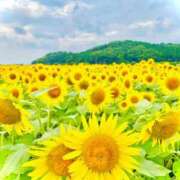 ヒメ日記 2025/07/19 00:55 投稿 ゆうな 宇都宮人妻デリバリー 一期一会 二章