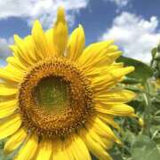 ヒメ日記 2025/08/01 22:48 投稿 ゆうな 宇都宮人妻デリバリー 一期一会 二章