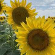 ヒメ日記 2025/08/02 09:22 投稿 ゆうな 宇都宮人妻デリバリー 一期一会 二章