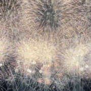 ヒメ日記 2025/08/10 23:10 投稿 ゆうな 宇都宮人妻デリバリー 一期一会 二章