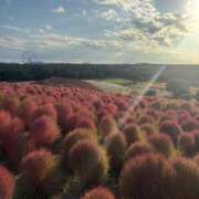 ヒメ日記 2025/10/28 07:26 投稿 ゆうな 宇都宮人妻デリバリー 一期一会 二章