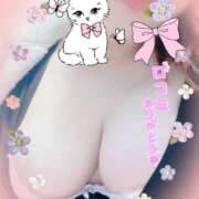 ヒメ日記 2025/01/13 19:24 投稿 のの 沖縄ちゃんこ那覇店