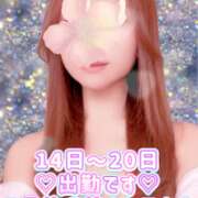 ヒメ日記 2025/04/12 14:47 投稿 みれい モアグループ 土浦人妻花壇