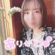 ヒメ日記 2025/04/15 16:32 投稿 なな お姉京都