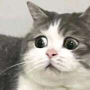 なな 👁️3億円事件👁️ お姉京都