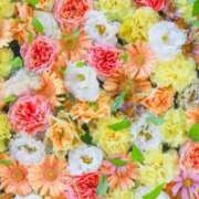 ヒメ日記 2025/02/13 09:05 投稿 あやの 奥様さくら梅田店