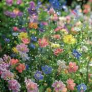 ヒメ日記 2025/03/01 07:15 投稿 あやの 奥様さくら梅田店