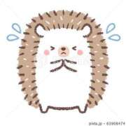 ヒメ日記 2025/03/17 09:45 投稿 あやの 奥様さくら梅田店