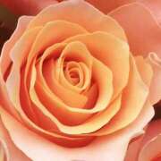 ヒメ日記 2025/05/18 09:55 投稿 あやの 奥様さくら梅田店