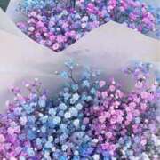 ヒメ日記 2025/09/03 10:55 投稿 あやの 奥様さくら梅田店