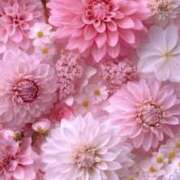 ヒメ日記 2025/09/13 08:25 投稿 あやの 奥様さくら梅田店