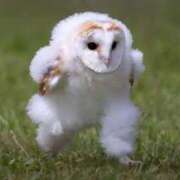 ヒメ日記 2026/01/30 07:45 投稿 あやの 奥様さくら梅田店