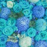 ヒメ日記 2026/02/15 22:05 投稿 あやの 奥様さくら梅田店