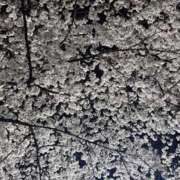 ヒメ日記 2025/04/13 16:26 投稿 そゆん マリン千姫