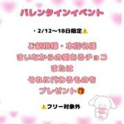 ヒメ日記 2025/02/12 16:45 投稿 まいな Remote Spa Premium(リモートスパプレミアム)