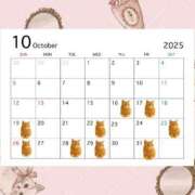 ヒメ日記 2025/10/16 16:45 投稿 まいな Remote Spa Premium(リモートスパプレミアム)