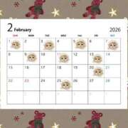 ヒメ日記 2026/02/01 11:45 投稿 まいな Remote Spa Premium(リモートスパプレミアム)