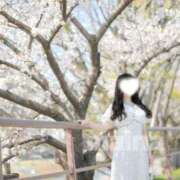 ヒメ日記 2026/04/11 22:45 投稿 まいな Remote Spa Premium(リモートスパプレミアム)