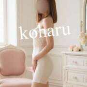 ヒメ日記 2025/11/11 22:43 投稿 高台 恋春 高輪AQUA