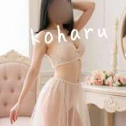 ヒメ日記 2025/11/13 20:32 投稿 高台 恋春 高輪AQUA