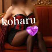 ヒメ日記 2026/01/02 17:05 投稿 高台 恋春 高輪AQUA