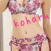 ヒメ日記 2026/03/12 08:59 投稿 高台 恋春 高輪AQUA