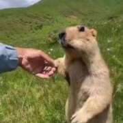 ヒメ日記 2025/06/10 19:04 投稿 ゆずき♡G乳妹系美少女♡ 即生専門店ゴッドパイ