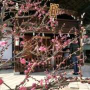 しほさん 今後のご予約について🙇‍♀️ いけない奥さん 十三店