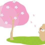 ヒメ日記 2025/02/28 23:58 投稿 しほさん いけない奥さん 梅田店