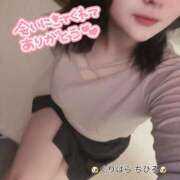 ヒメ日記 2025/02/13 07:06 投稿 栗原 千尋 プルプルハウス