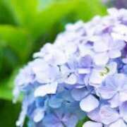 ヒメ日記 2025/06/23 23:13 投稿 恵梨奈(えりな) 人妻城 横浜本店