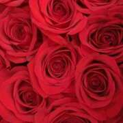 ヒメ日記 2026/03/04 00:24 投稿 恵梨奈(えりな) 人妻城 横浜本店