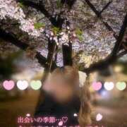 ヒメ日記 2025/04/14 12:02 投稿 新木 ゆい 京都ホットポイント