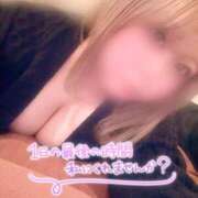 ヒメ日記 2025/04/17 15:16 投稿 新木 ゆい 京都ホットポイント